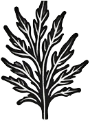 Handmade Shipibo Bone Kuripe with Crystal Point